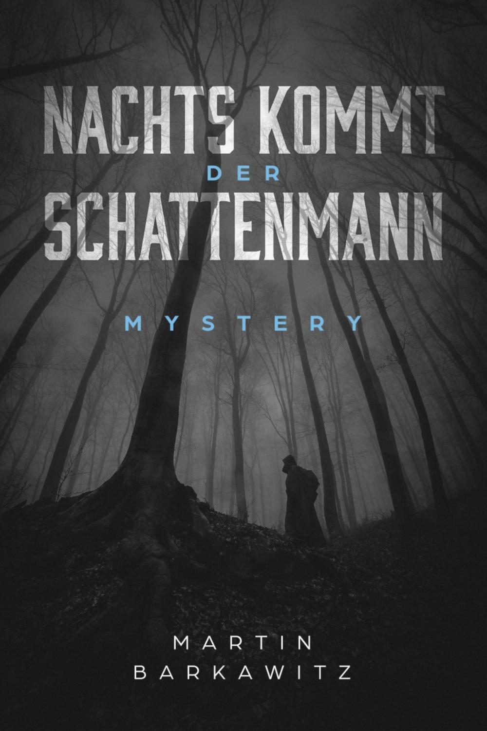 Big bigCover of Nachts kommt der Schattenmann