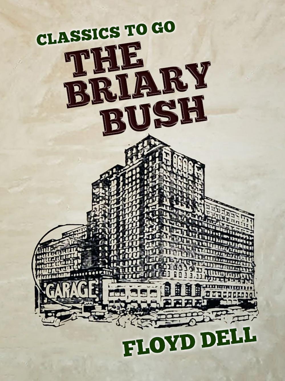 Big bigCover of The Briary Bush