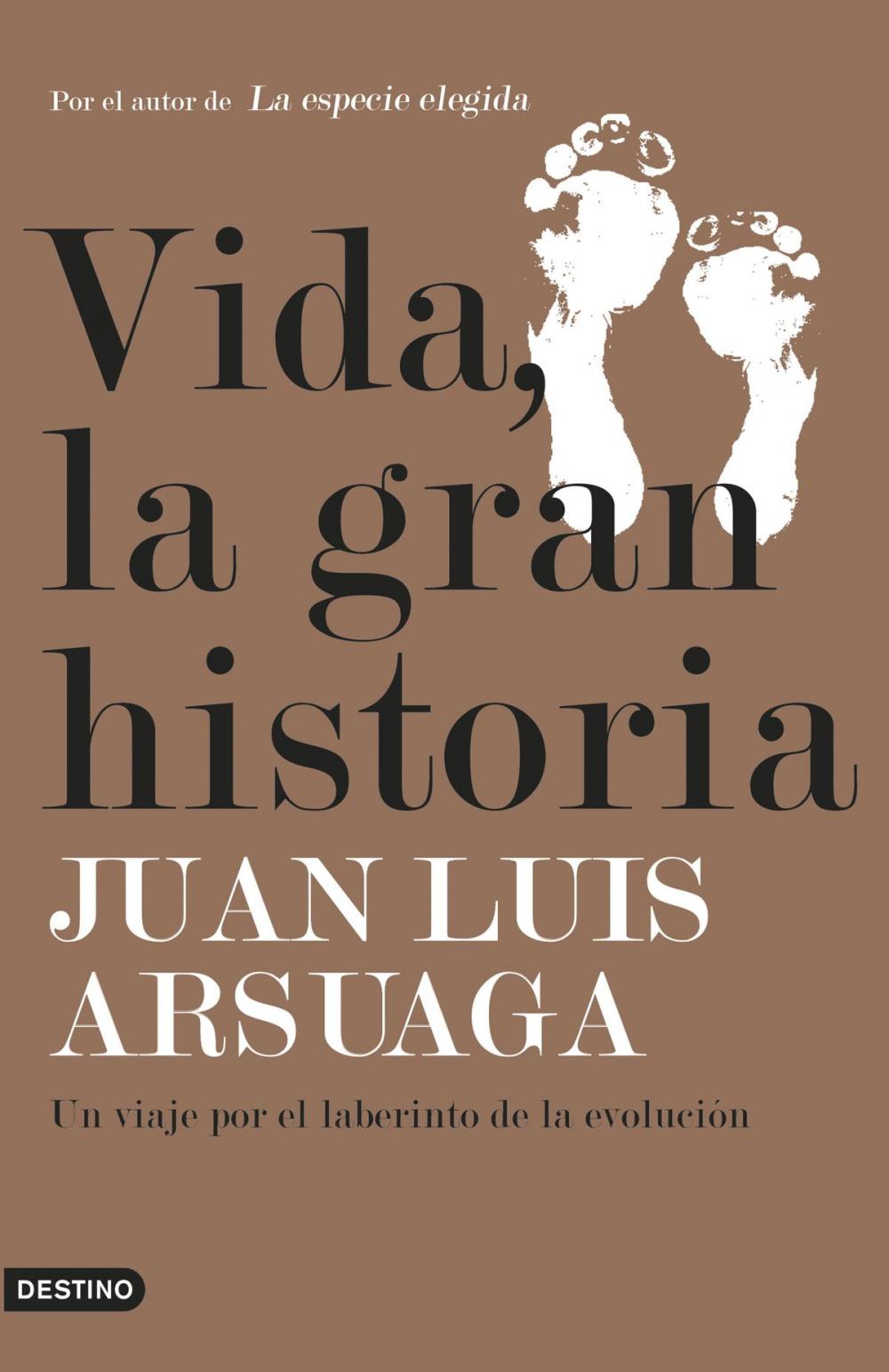 Big bigCover of Vida, la gran historia