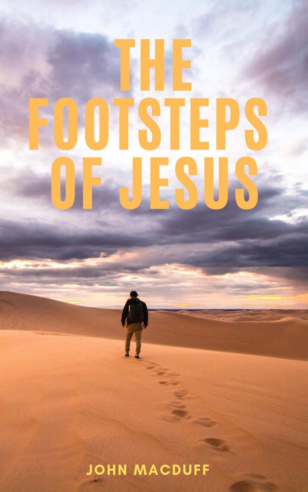 Big bigCover of The Footsteps of Jesus