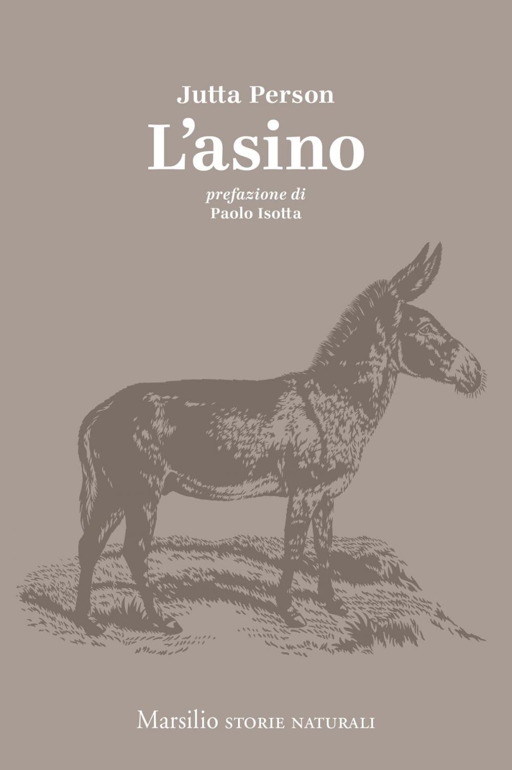 Big bigCover of L'asino