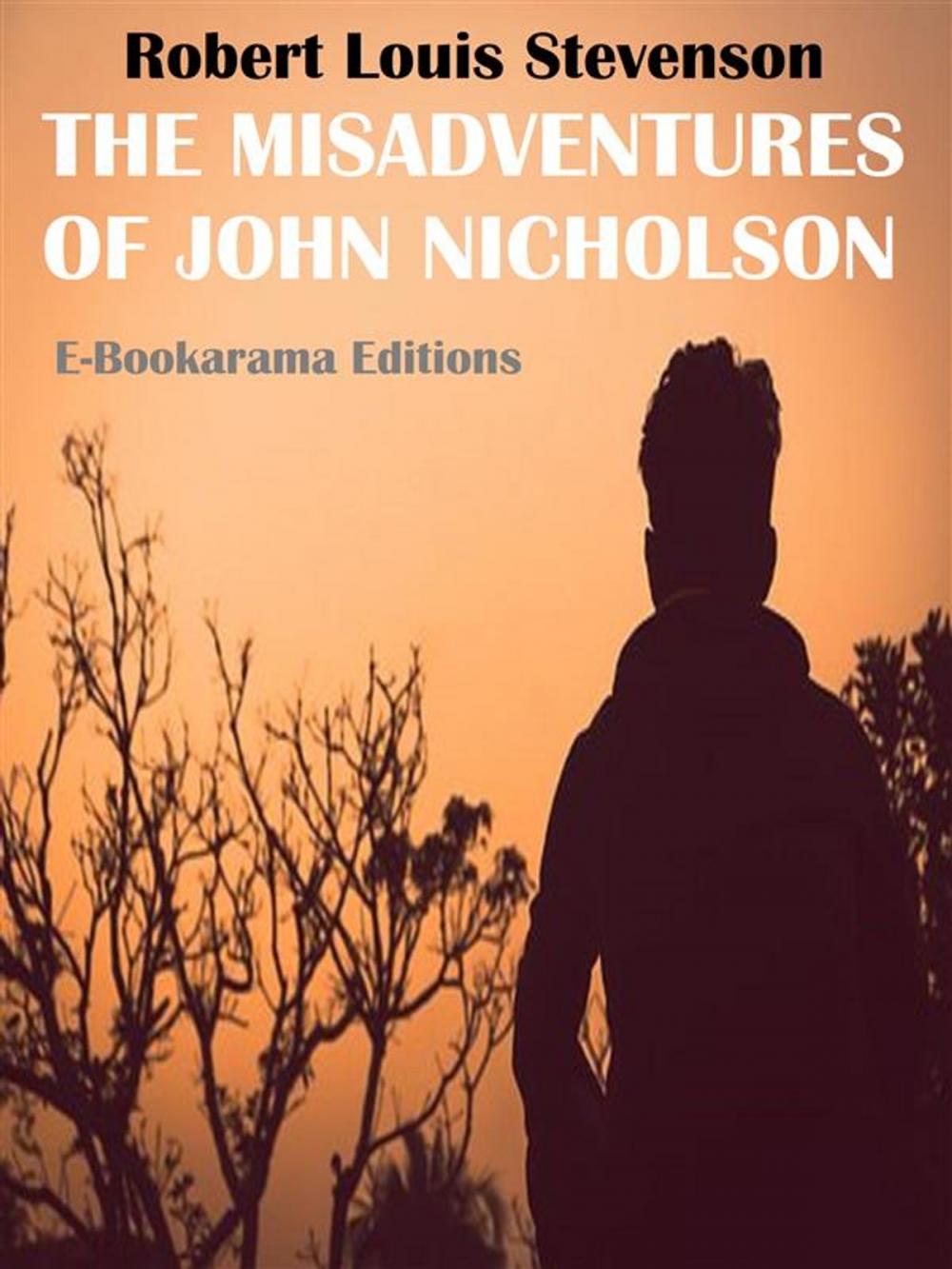 Big bigCover of The Misadventures of John Nicholson