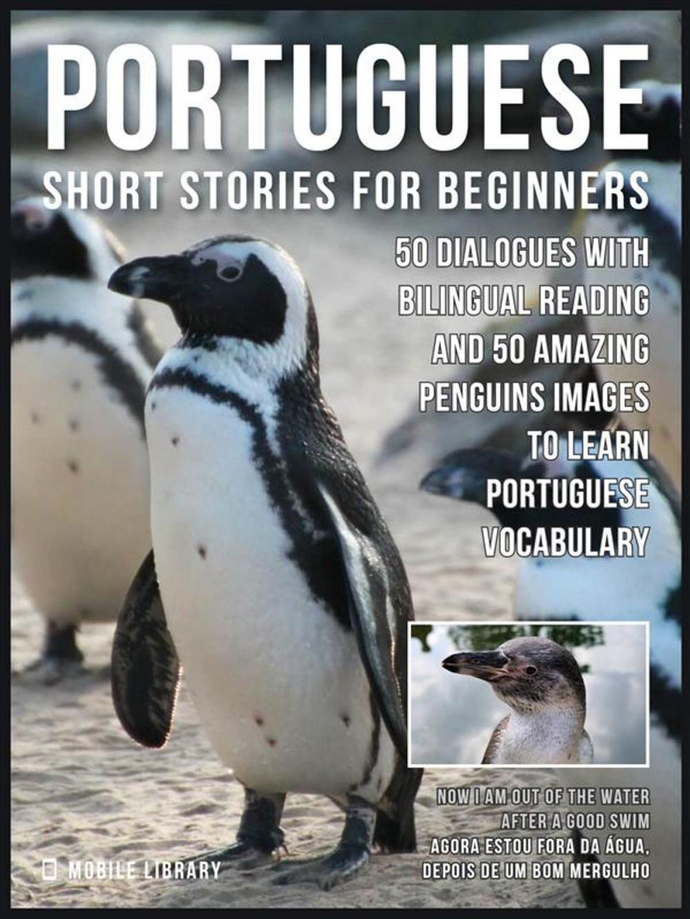 Big bigCover of Portuguese Short Stories For Beginners