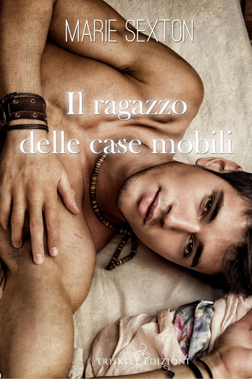 Big bigCover of Il ragazzo delle case mobili