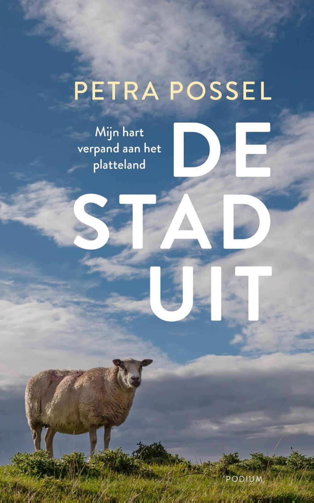 Big bigCover of De stad uit