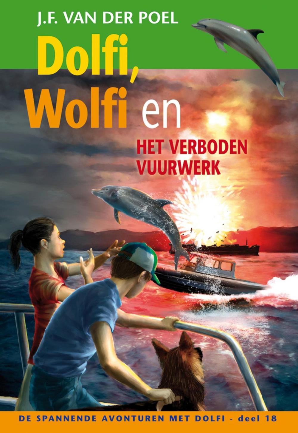 Big bigCover of Dolfi, Wolfi en het verboden vuurwerk