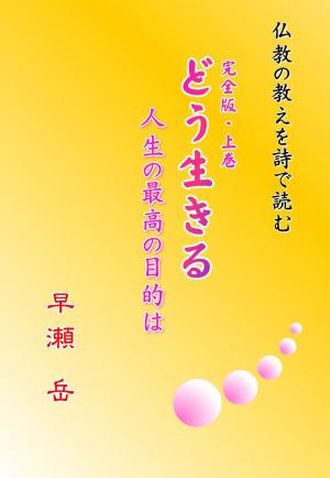 bigCover of the book どう生きる　人生の最高の目的は　上巻 by 