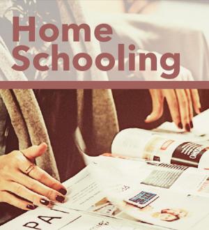 bigCover of the book Home Schooling by 