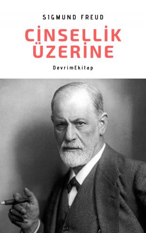 Cover of the book Cinsellik Üzerine by London, Melville, Tolstoy, Dostoyevski, Dickens