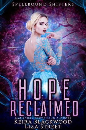 Cover of the book Hope Reclaimed by megan kuykendall