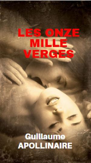 Cover of the book Les onze mille verges by K.C. Falls