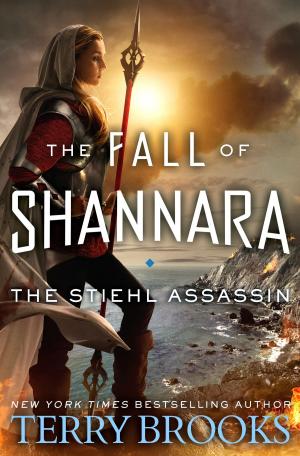 Cover of the book The Stiehl Assassin by Sarah Maloney