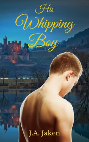 bigCover of the book His Whipping Boy by 