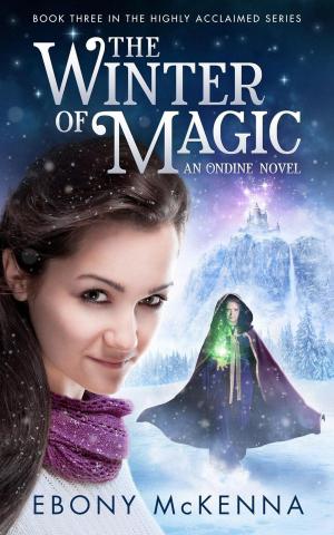 Cover of the book The Winter of Magic by Susan Rodgers