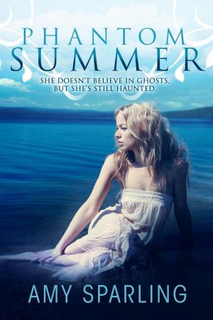 Cover of the book Phantom Summer by Doug Robbins