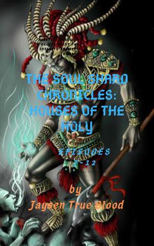 Book cover of The Soul Shard Chronicles: Houses Of The Holy: Episodes 7-12