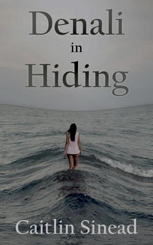 Book cover of Denali in Hiding