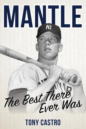 Cover of the book Mantle by Russell Crandall