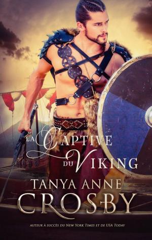 Cover of the book La Captive du Viking by Morgane Franck