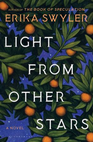 Book cover of Light from Other Stars