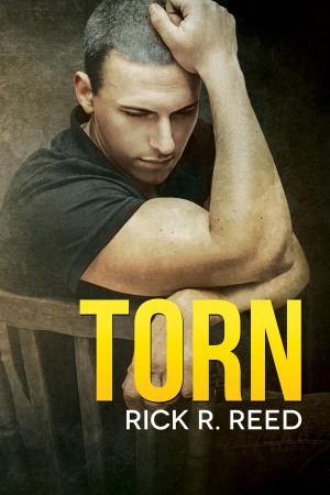 Cover of the book Torn by Ariel Tachna