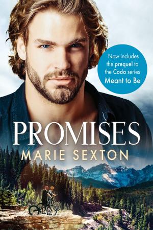 Cover of the book Promises by Clare London