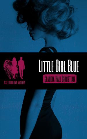 Book cover of Little Girl Blue, a Seth and Ava Mystery