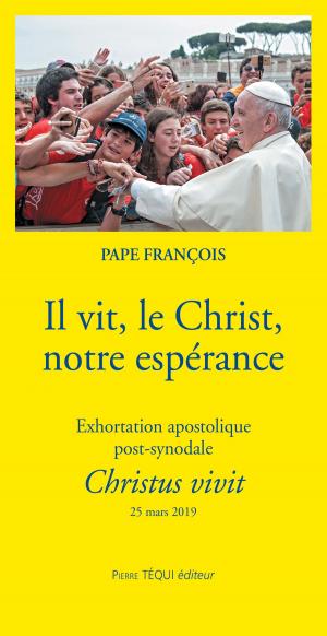 Cover of the book Il vit, le Christ, notre espérance by William Struse