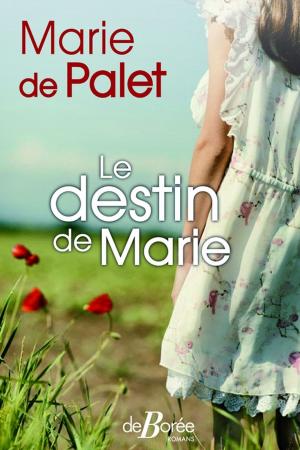 Cover of the book Le Destin de Marie by Marie de Palet