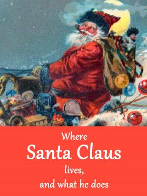 Cover of the book Where Santa Claus lives, and what he does by Claudia Nentwich