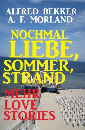Cover of the book Nochmal Liebe, Sommer, Strand: Love-Stories by Rufus Bärenfänger