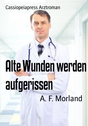 Cover of the book Alte Wunden werden aufgerissen by Rittik Chandra