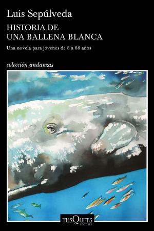 Cover of the book Historia de una ballena blanca by Sally Thorne