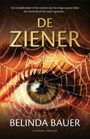 Cover of the book De ziener by Gérard de Villiers