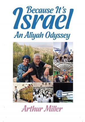 Cover of the book Because It's Israel by Daniel Ichbiah