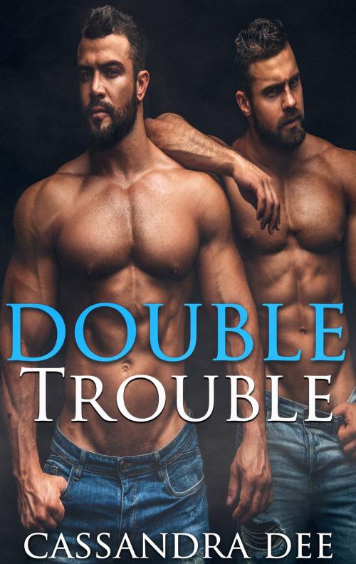 Cover of the book Double Trouble by Cassandra Dee, Cassandra Dee Romance