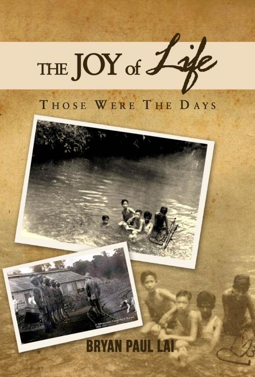 Cover of the book The Joy of Life by Bryan Paul Lai, Capstone Media Services