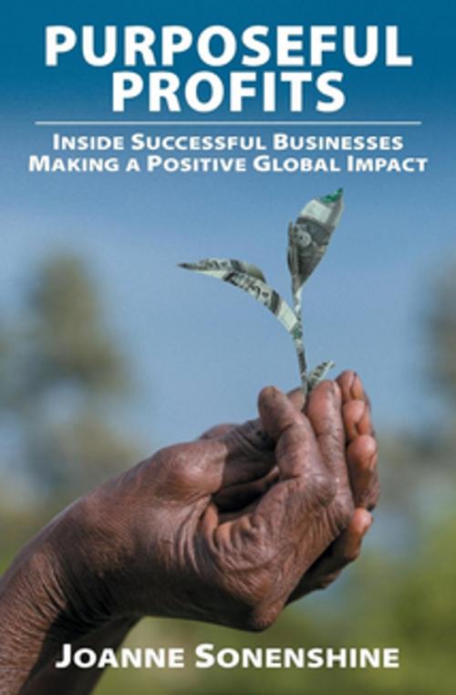 Cover of the book Purposeful Profits by Joanne Sonenshine, Connective Impact