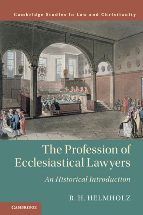 Cover of the book The Profession of Ecclesiastical Lawyers by R. H. Helmholz, Cambridge University Press