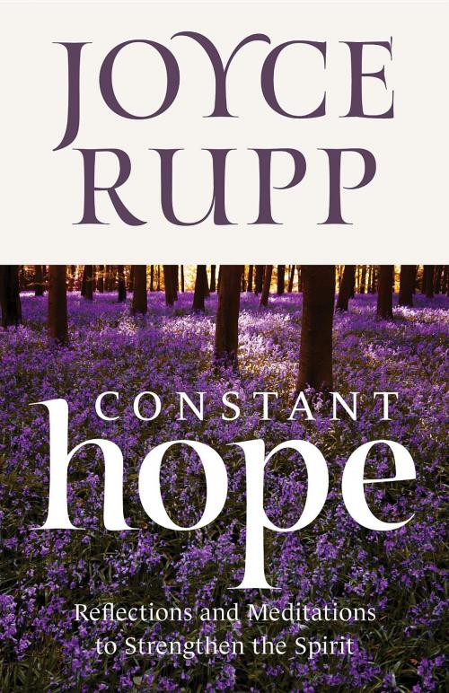 Cover of the book Constant Hope by Joyce Rupp, Twenty-Third Publications/Bayard