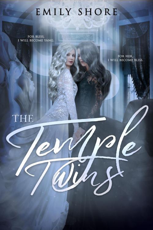 Cover of the book The Temple Twins by Emily Shore, Clean Teen Publishing, Inc.