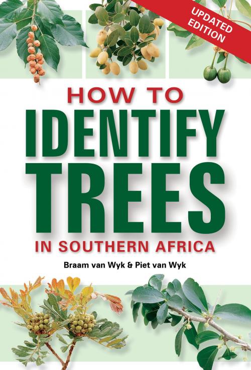 Cover of the book How to Identify Trees in Southern Africa by Braam van Wyk, Piet van Wyk, Penguin Random House South Africa