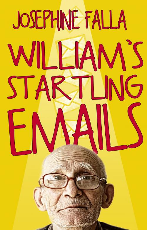 Cover of the book William's Startling Emails by Josephine Falla, Troubador Publishing Ltd