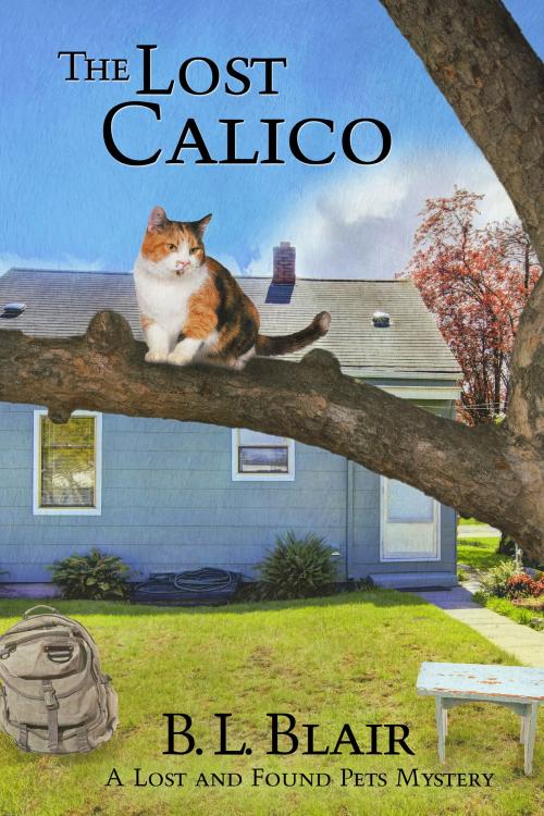 Cover of the book The Lost Calico by B. L. Blair, B. L. Blair