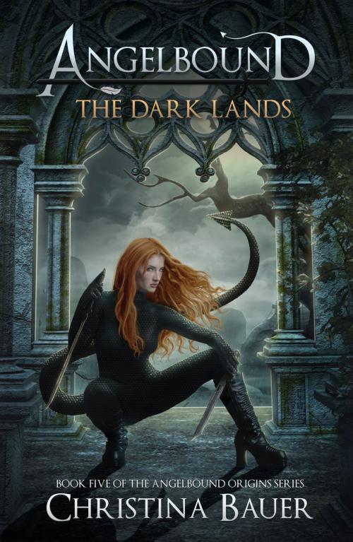 Cover of the book The Dark Lands by Christina Bauer, Monster House Books