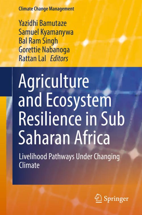 Cover of the book Agriculture and Ecosystem Resilience in Sub Saharan Africa by , Springer International Publishing