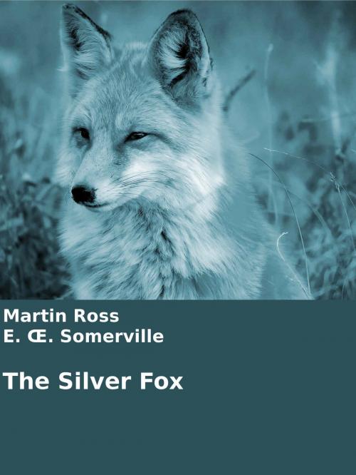 Cover of the book The Silver Fox by Martin Ross, Edith Somerville, Books on Demand