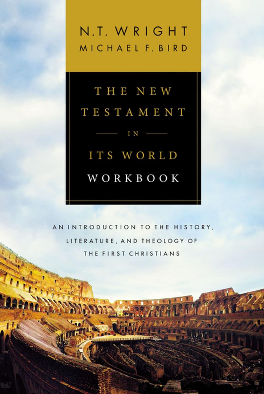 Big bigCover of The New Testament in Its World Workbook