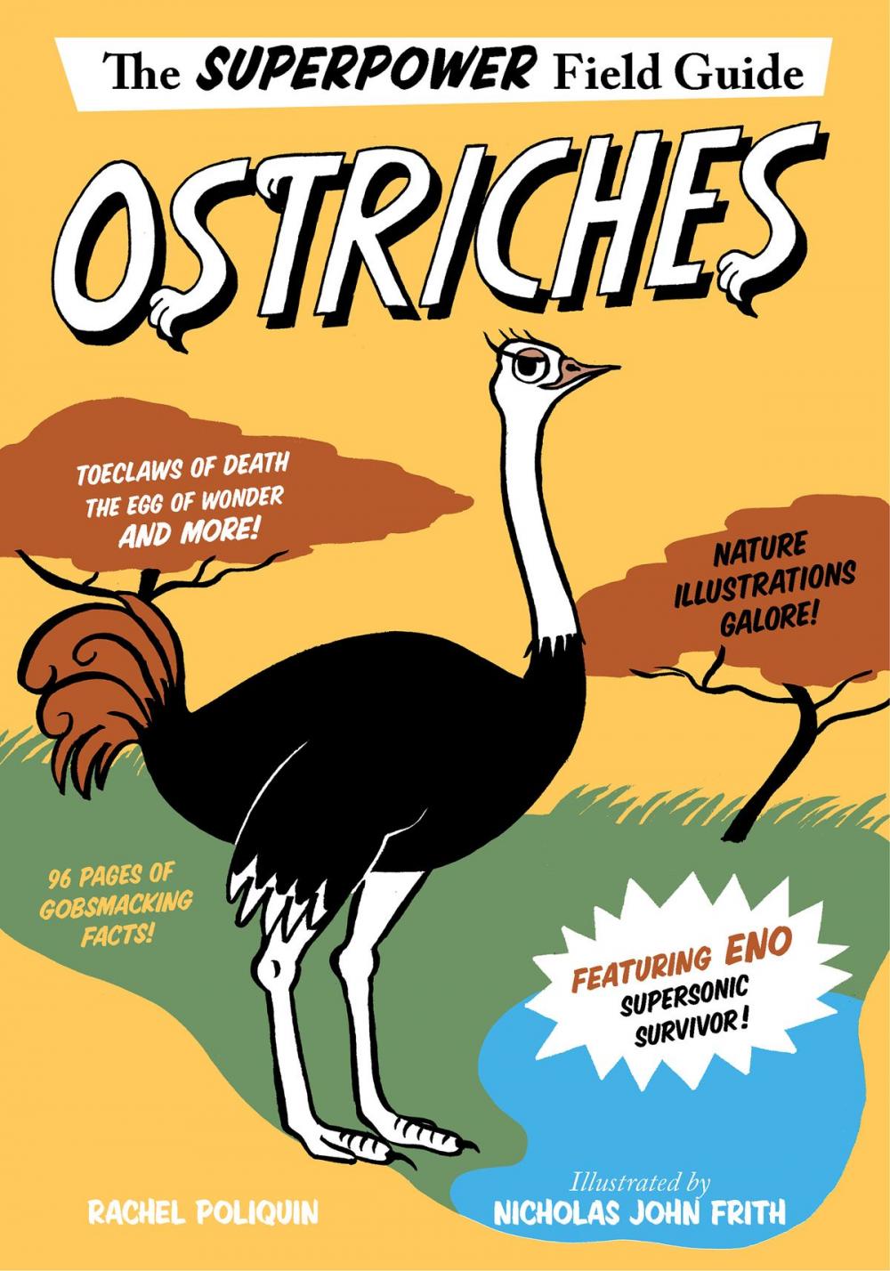 Big bigCover of Ostriches