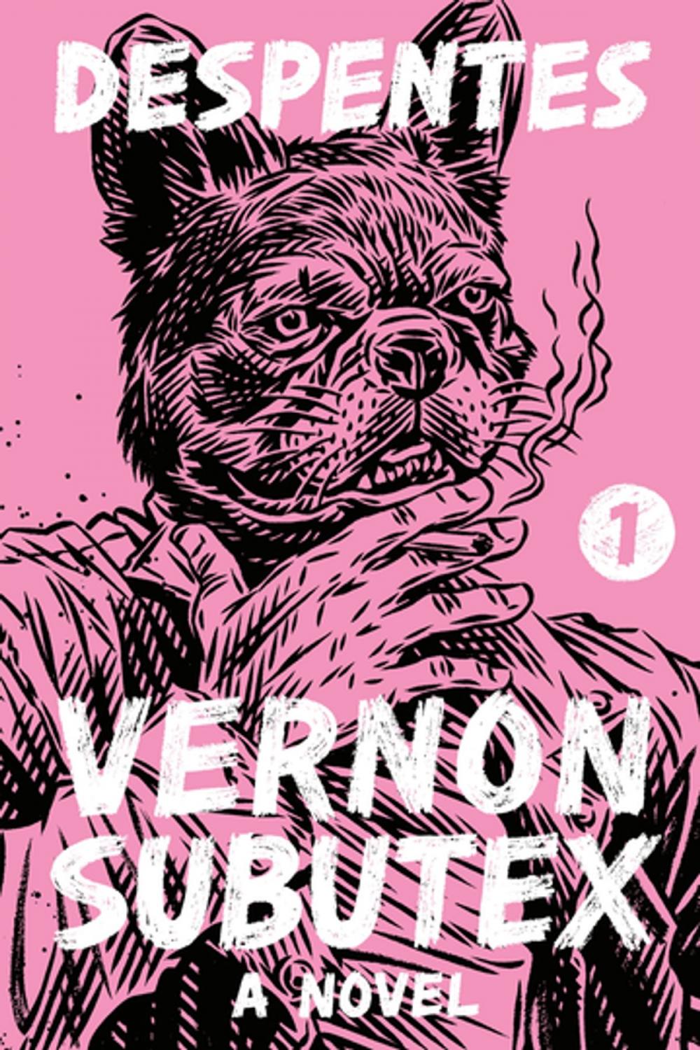 Big bigCover of Vernon Subutex 1